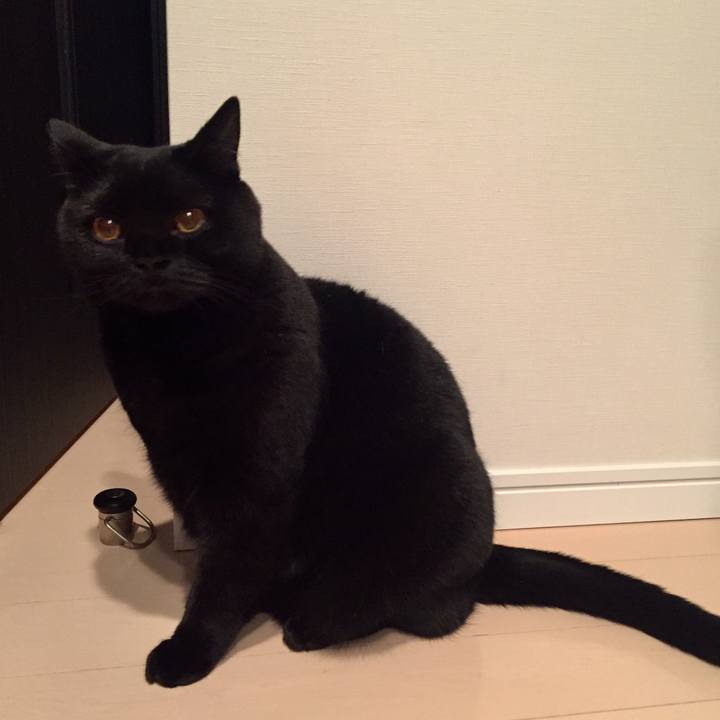 C5652be6 520e 4d7c 943b b1dd07bea3c3 1542889075181