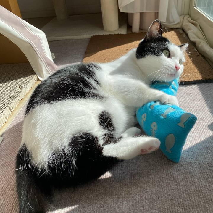 C565526b be6d 4400 ace7 785f5dd99165 1771539554233