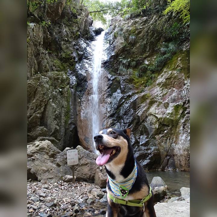 C5656044 6d9c 4bb5 94f8 f7c5c259ae22 1617453883244