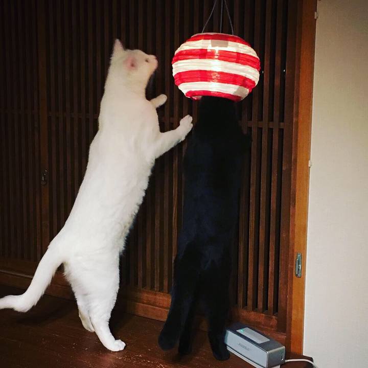 C56583f1 5f81 4fd9 9256 559e4d45a867 1555336734834