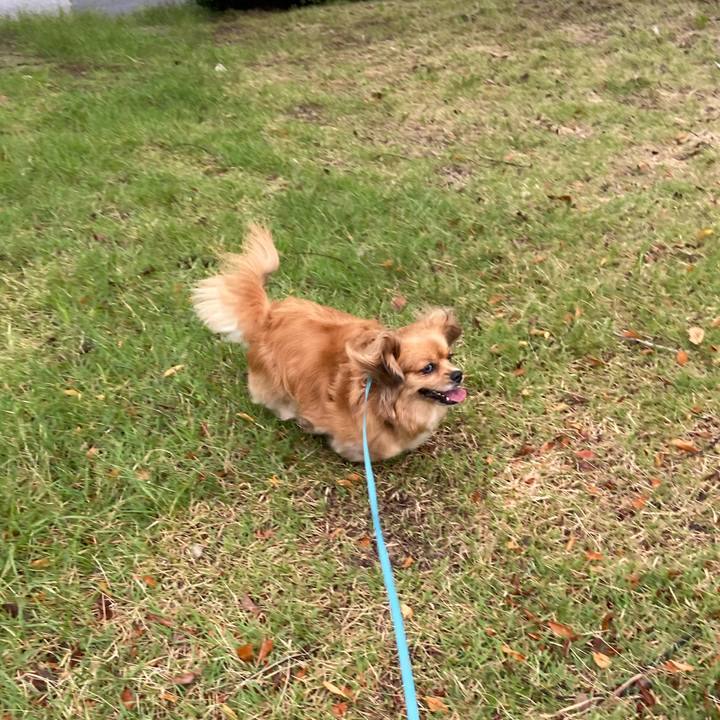 C56589d0 388c 4b6e 953f b2188f653543 1595455355769