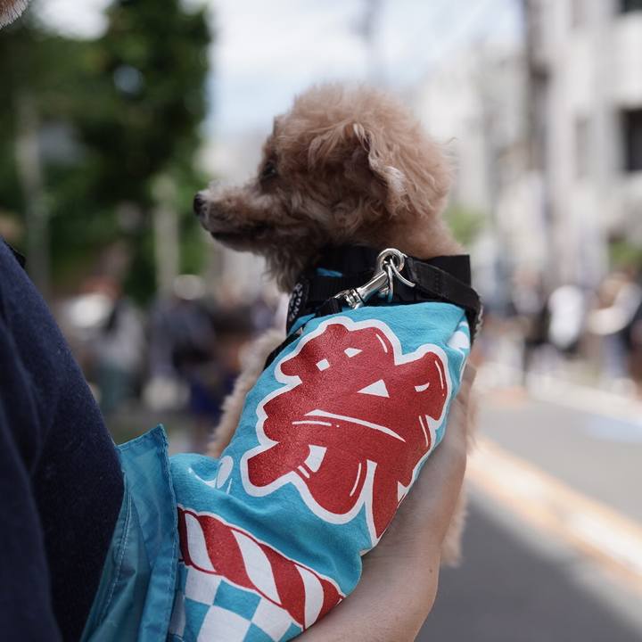 C56589f1 e29b 4988 957c 89ec43269ec0 1686316303766