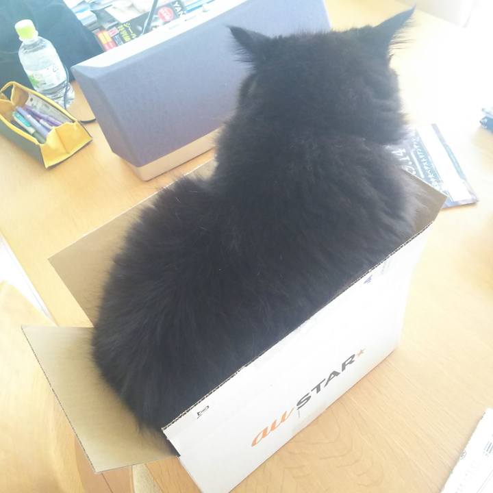 C565ab8a a88e 4532 9693 4ebf4c7ff7f9 1567564014692