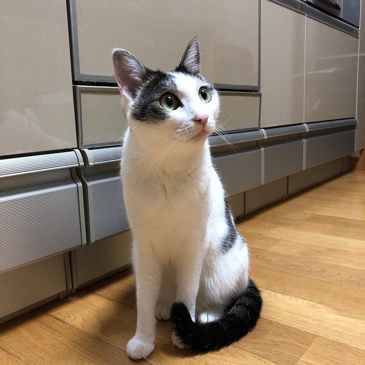 C5663a63 3137 4ce8 a0c7 4466de2ffea8 1662989058526