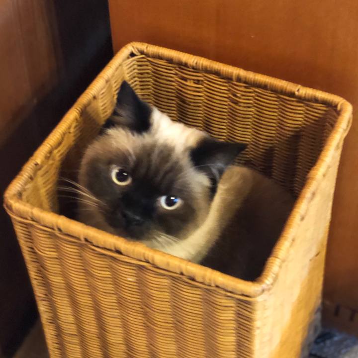 C5666d3e e39b 4f81 88d8 dc74efabe47e 1606003731949