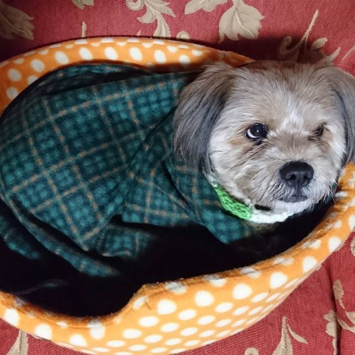 C5668243 5264 4e96 9ddb 135f2cced979 1515234148301