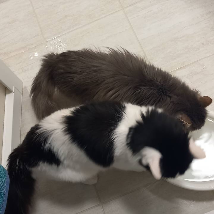 C5668bf8 fcb8 4ea8 a07c a1b22083cb02 1682293690535