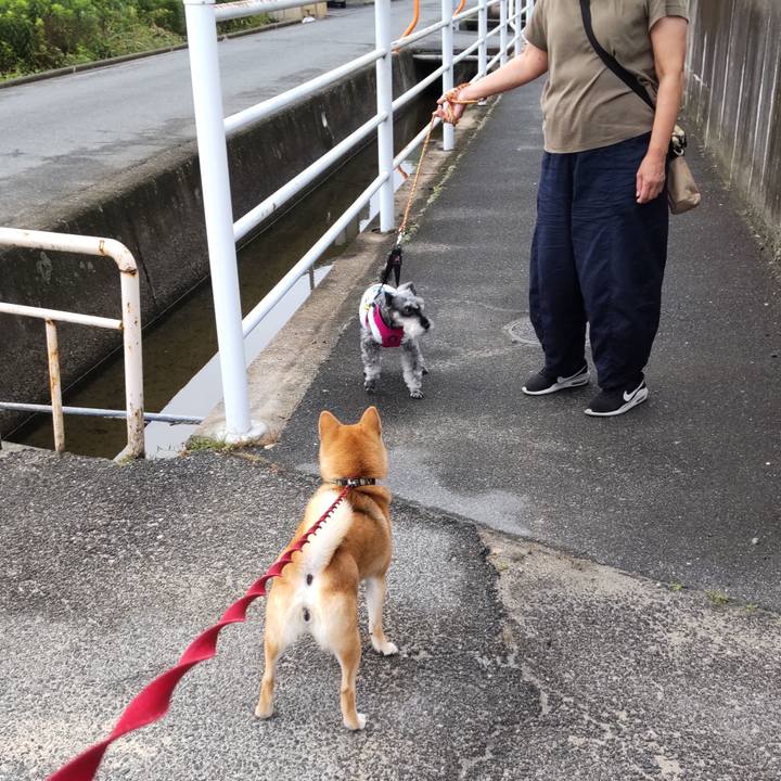 C566a1f0 e7c0 449b a4ce a6a01e042cdc 1653601717407