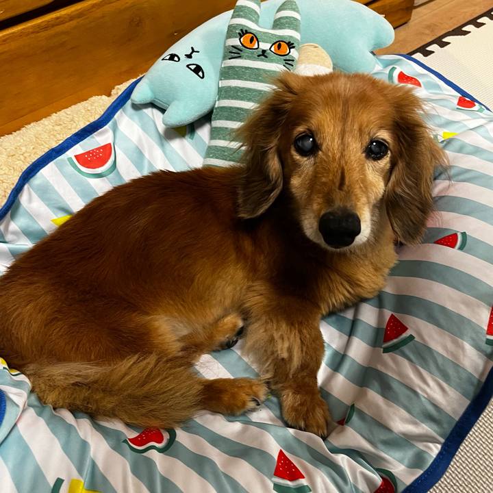 C566ae91 941d 430f 9e42 504c3650572b 1657633042764