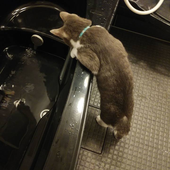 C566b45d b7ad 4911 bc43 6f884877b157 1589635385870