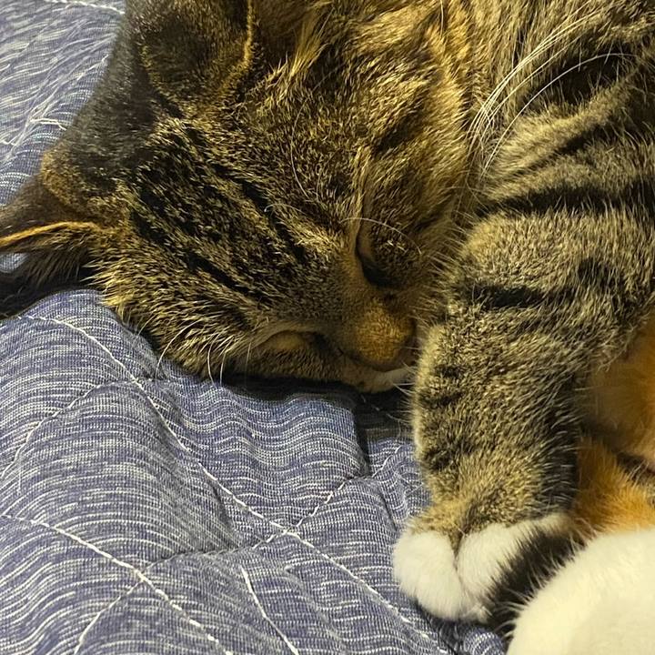 C566da8b 34c4 4801 846d 6c1c1e999b80 1618570035544