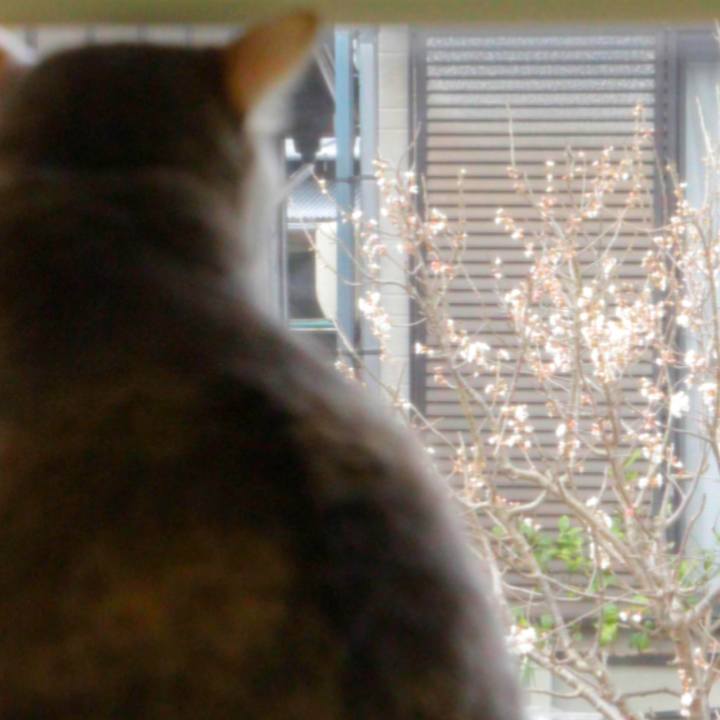 C566e835 043a 4ed0 a9dc 1eb05845fb6a 1614225479605