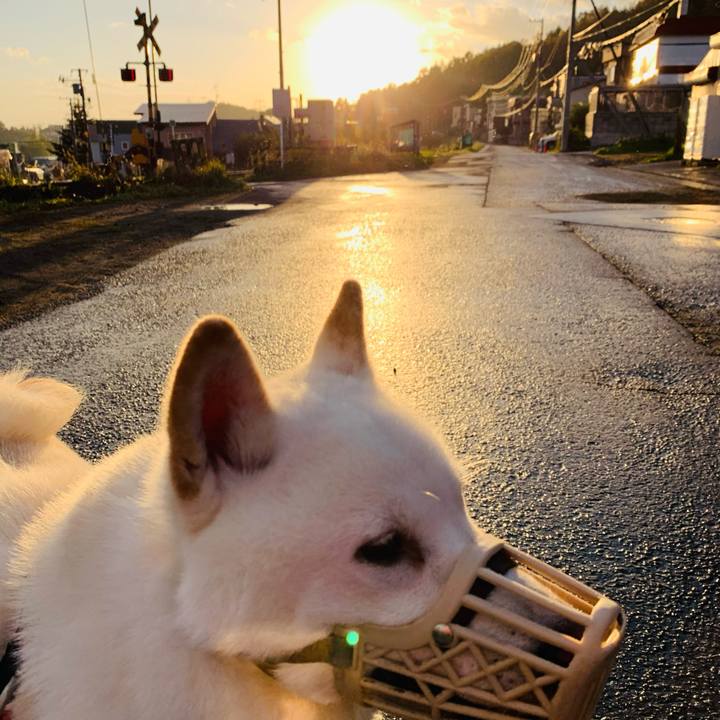 C566ee87 d1d8 4ab6 8a17 d64b454dff87 1603061323269