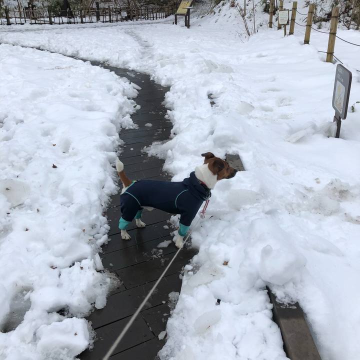 C56700b8 b71a 415d 8f4b 36daa25ea2cc 1516836385162