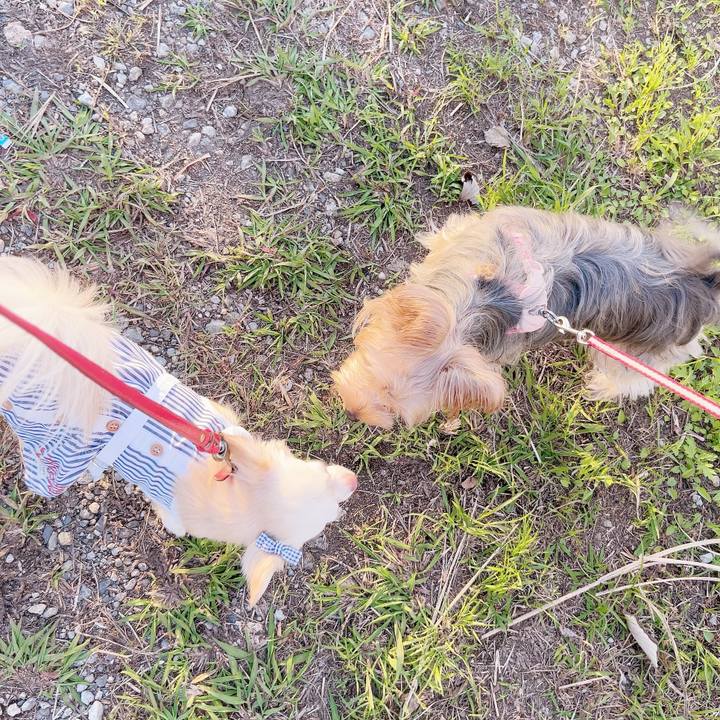 C5672076 5420 4da1 ae7f 93ee78799c49 1697203398220