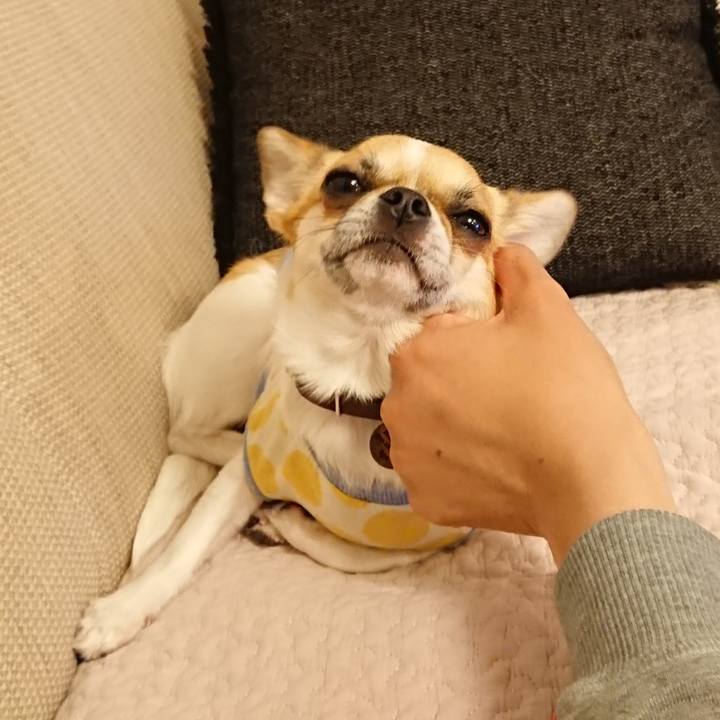 C567224b d8eb 457f aac6 b5b71e4764f8 1556888029697