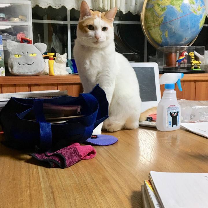 C567497a d6d6 4dca 9ad4 974157e7c99e 1538662873259