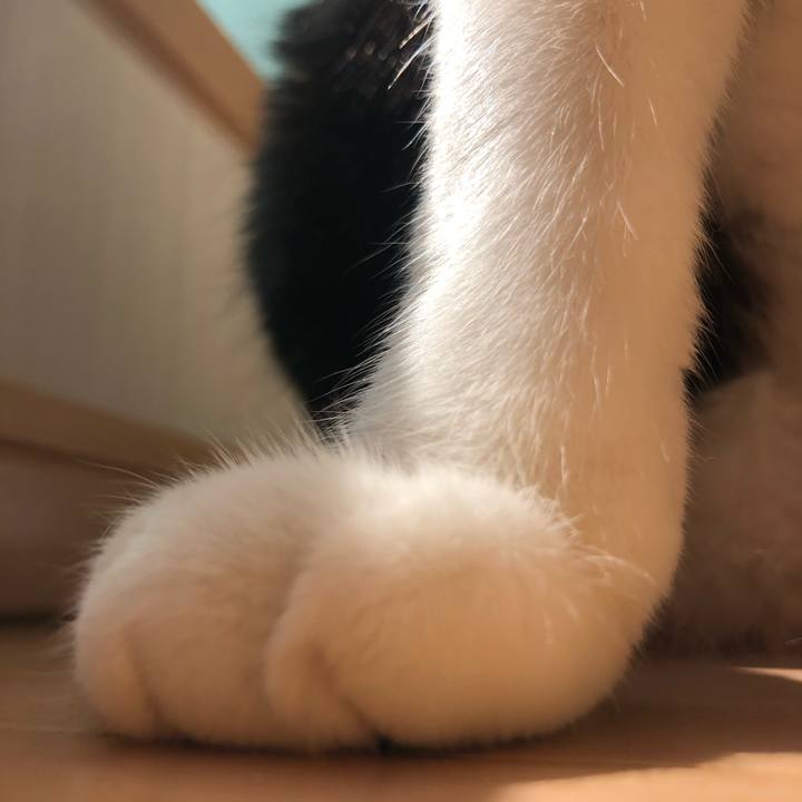 C5674ae1 b851 4cb7 a168 dc318655e0e1 1619246153417