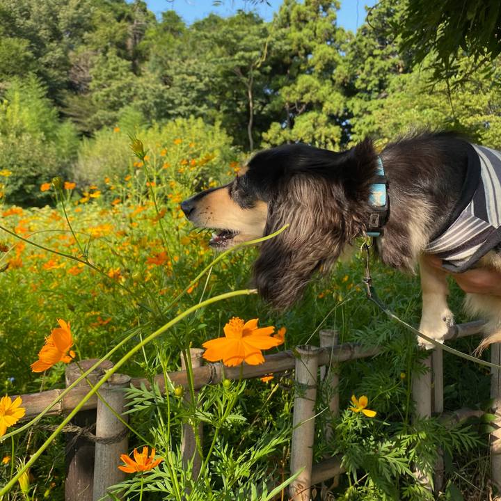 C5676d59 d11e 465d 853d 96aca32aeac5 1692497629585