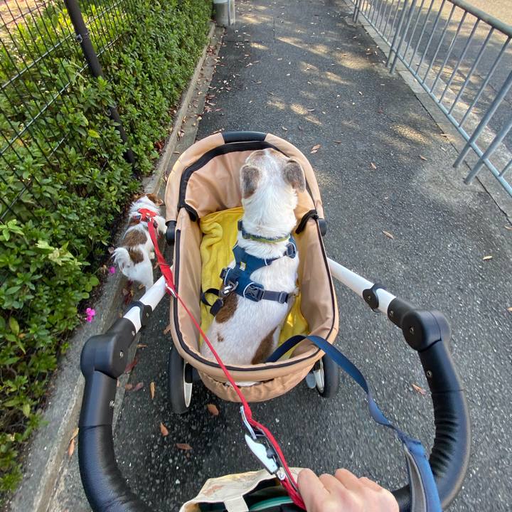 C56775e8 3672 4a6c b3c0 fe41731fa4bd 1666503765264