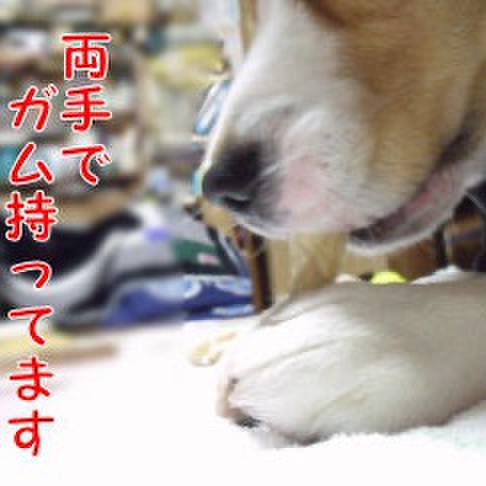 C5677db2 ff81 441a 8279 398e5efae82c 1709599607333