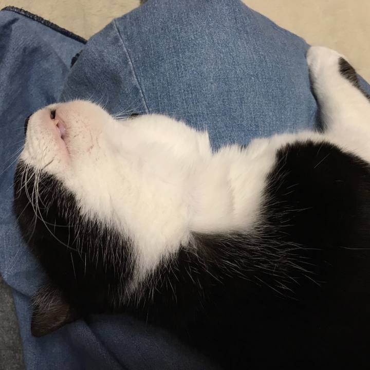 C5678b6c 75b0 4e36 a349 92a9ccd8ad7e 1541948642933