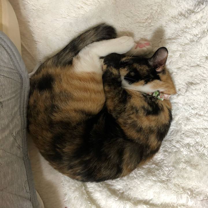 C5678b93 477f 4af5 b082 929857153d78 1606159171446