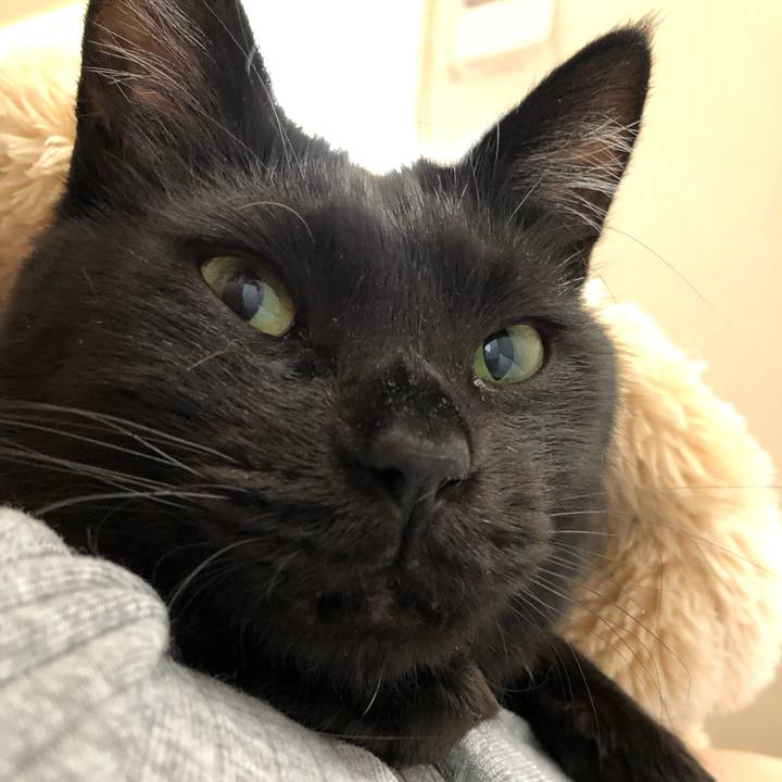 C5678fc6 cb38 4f71 9acc 9563b827b99f 1559771812138