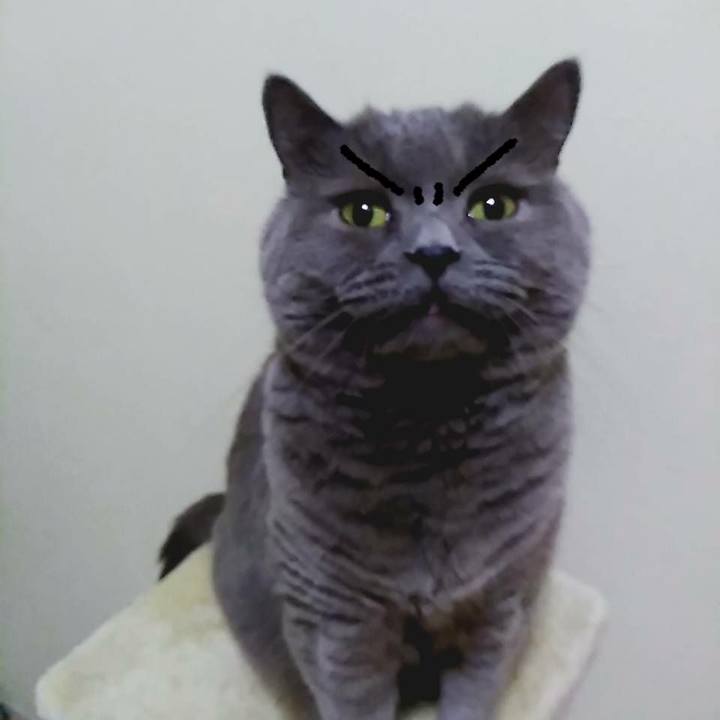 C5679e19 906b 4dc3 8710 065551cf6026 1564202807429