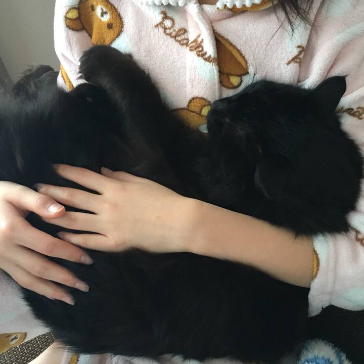 C567ab8d 4657 417b 90b6 d6e41e8be395 1514244578058