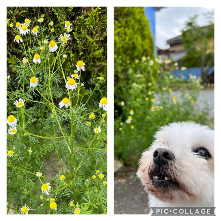 C567fbcc d9bd 4da6 af74 43df7a19400b 1651111679461