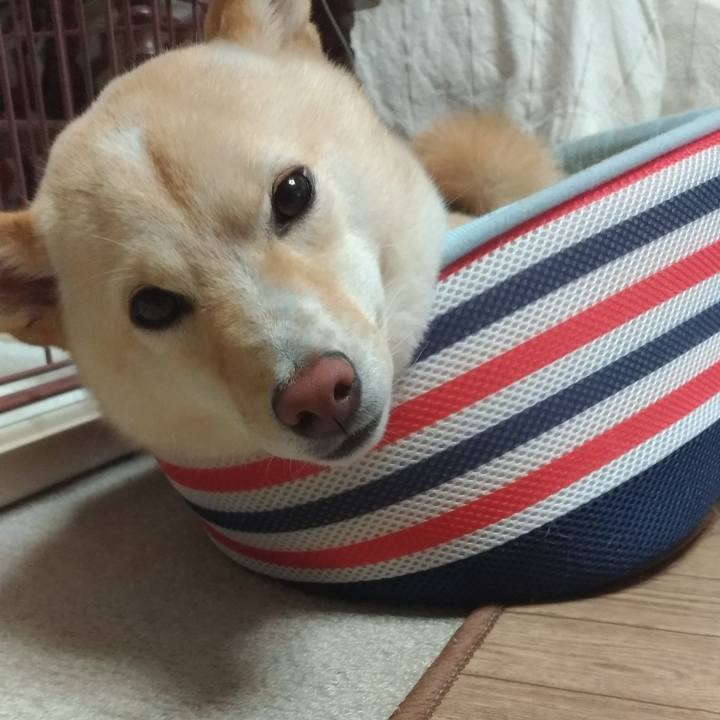 C56861c9 bf22 4cb9 b697 52584503e494 1532260232503