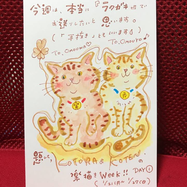 C568b13a 3a53 4b92 87dc b1b6a8864c54 1548078793273