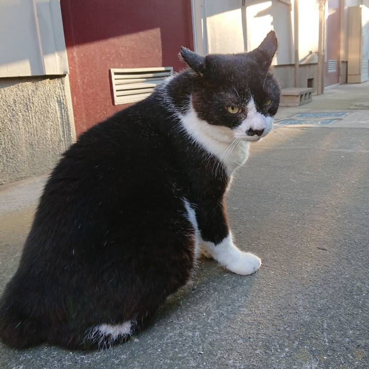 C568e9d2 25c8 4e01 9809 b80a71f81dbf 1658481101710