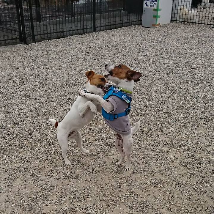 C5692aa8 150e 40c9 93c8 0b054da540ed 1556519656125