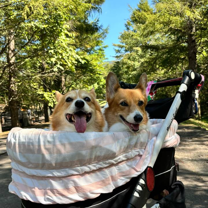 C56971d2 946e 401b 9b0f 47219350cd18 1727834422420