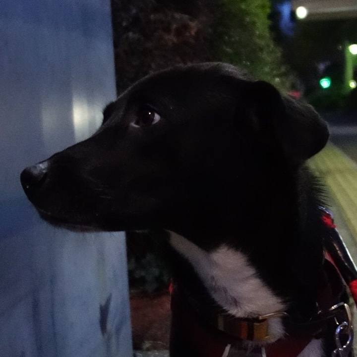 C56992b2 3fea 4d1c 81e5 7782d6dab9e0 1586860989534