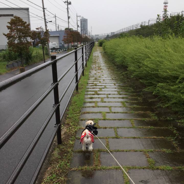 C569b18e 3c16 4cec b3f5 68f2a00a829a 1538191543969