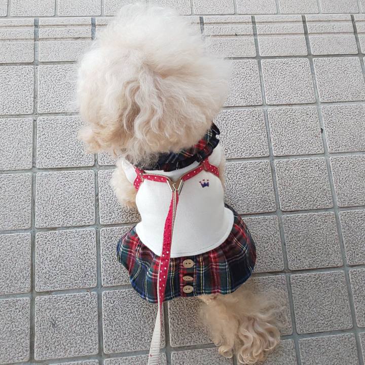 C569ccc1 d37a 4bc3 96e9 00e94e9a1c99 1637219620846