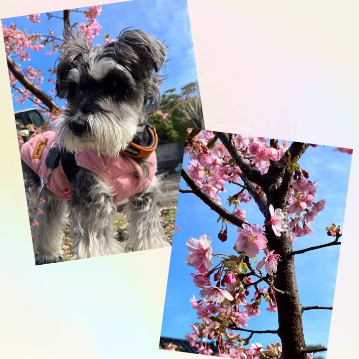 C569d772 4337 43be a972 7a4074f0a8d5 1773984163333