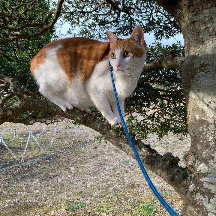 C569e28c 6ff8 44b1 85ed 6e8303ae6c2d 1578728153054