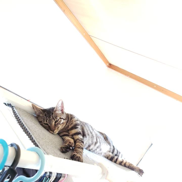 C56a14ff a29b 4269 a347 aa7a96137213 1541912994891