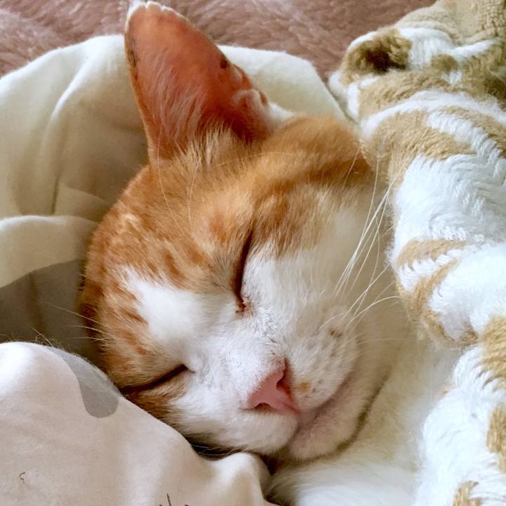 C56a22ad dab8 4a2a bd71 e690629aed7c 1568378621798