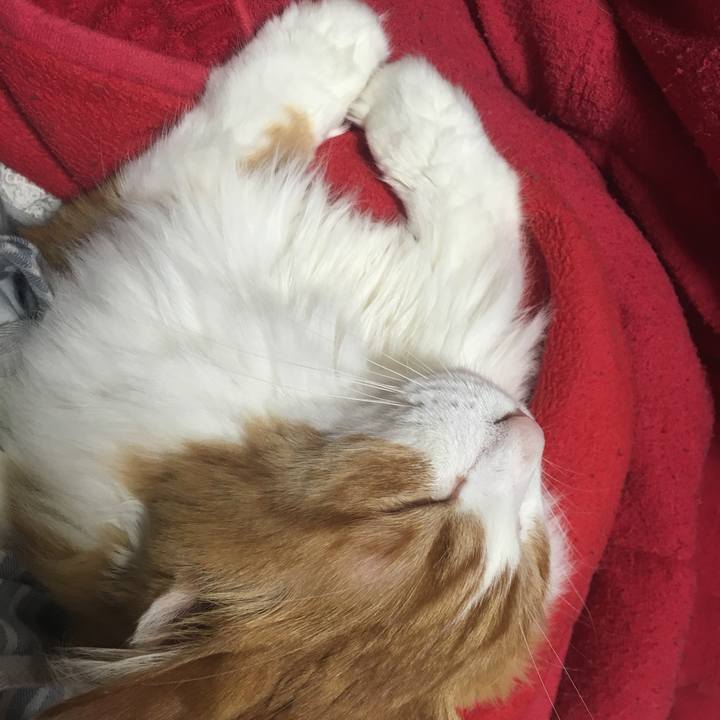 C56a3aaf 58d1 44bf 9d5d 06545d5b868f 1551784391716