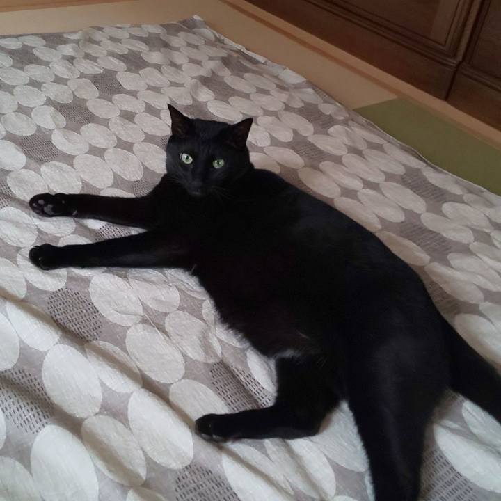 C56a4196 d873 47c5 8499 880a032bc3df 1588663857521