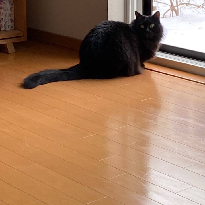 C56a75bf bfe0 437d a4e3 9dd8d9f205f5 1577762796297