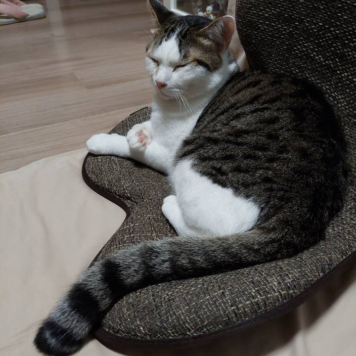 C56a81ac 98a0 41c6 934a a66acb37cdfc 1662465689145