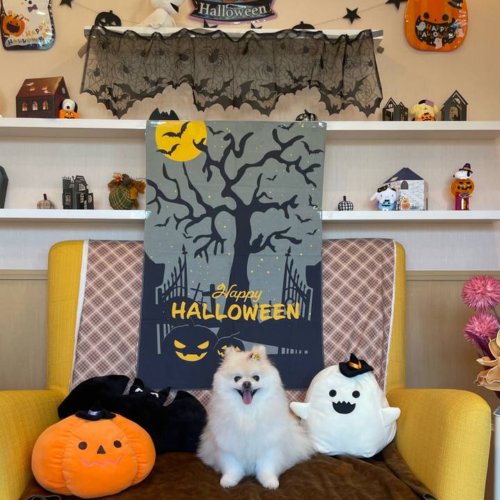 C56ac194 19a4 4f45 80f0 9ed122a1089e 1696578727935