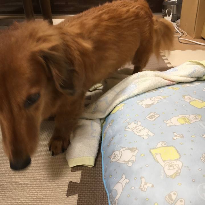 C56ad0fe e11d 4ab8 9c33 f843d9e5618b 1531493070545