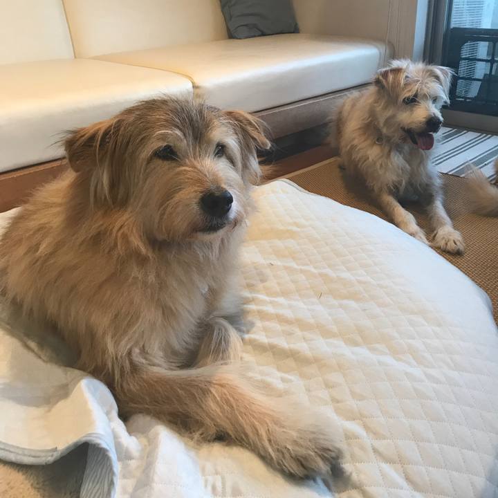 C56ae41f 706f 400c 9954 63d9b5b4296a 1639305040605